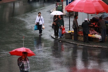 雨中即景