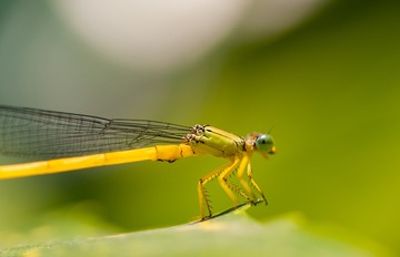 DSC_0163-1