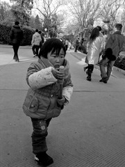 我的城市20120125-0030935