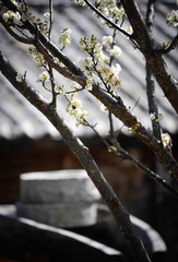 20140220_DSC0434_2832 x 4256