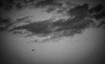 20140218_DSC9814_4256 x 2832