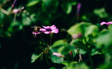 20140920-_DSC4984