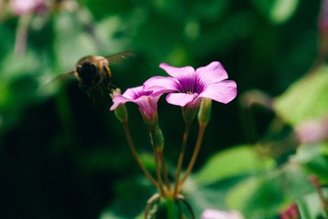 20140920-_DSC4986
