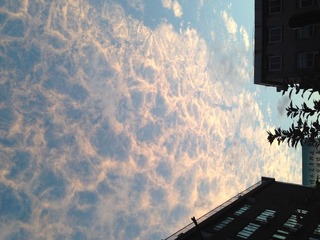 20130704080250916.JPG