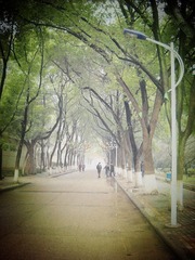 DSCN0046_副本.jpg