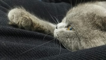 924870