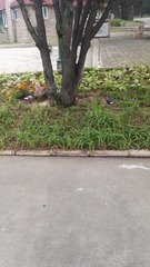 773396