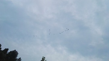 773399