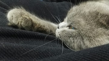 924869