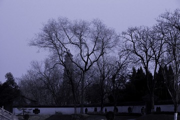 _DSC3094-1