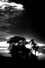 DSC05388.jpg