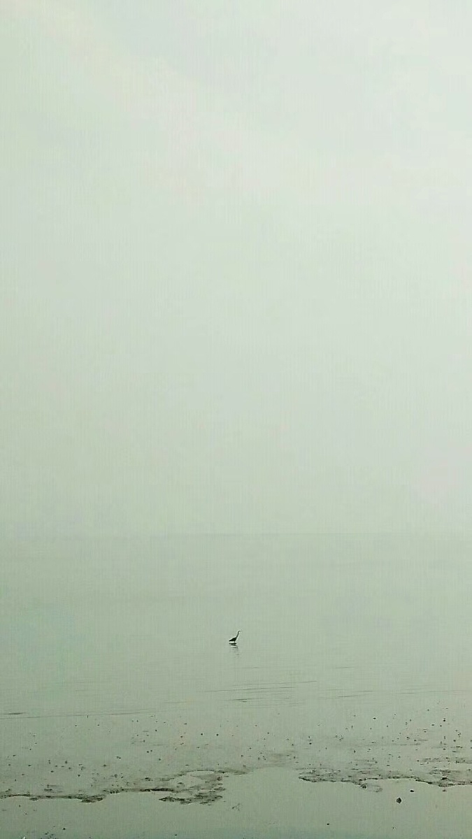 飘飘何所似天地一沙鸥