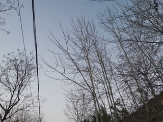 616398