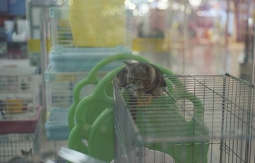 Batch Pict0212-3