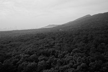 _DSC3200