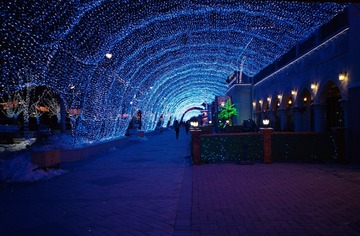 20101203-20101203-Untitled-3