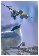 937927
