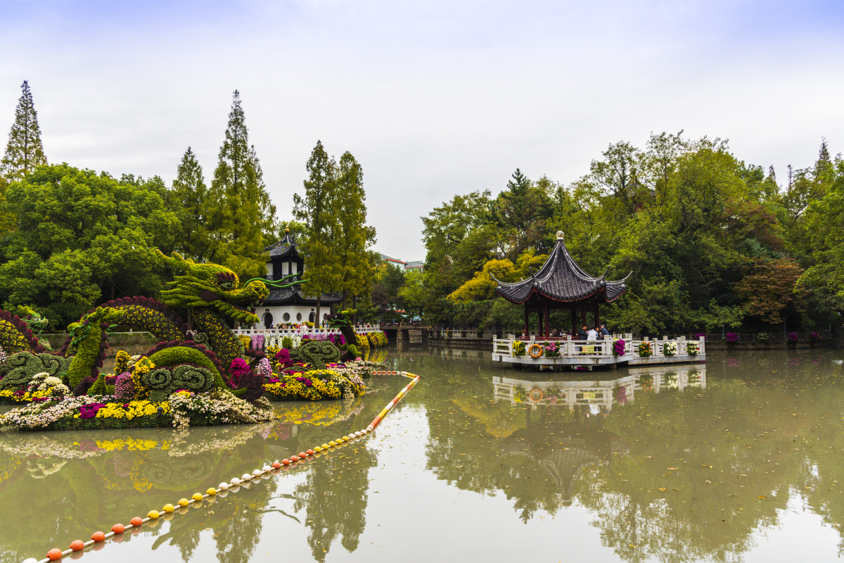 上海嘉定汇龙潭公园菊花展20191112