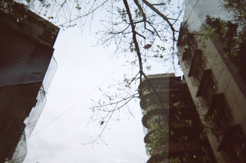 nEO_IMG_34920025.jpg