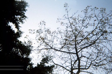 nEO_IMG_34920023.jpg