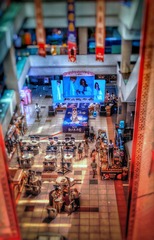 展示会