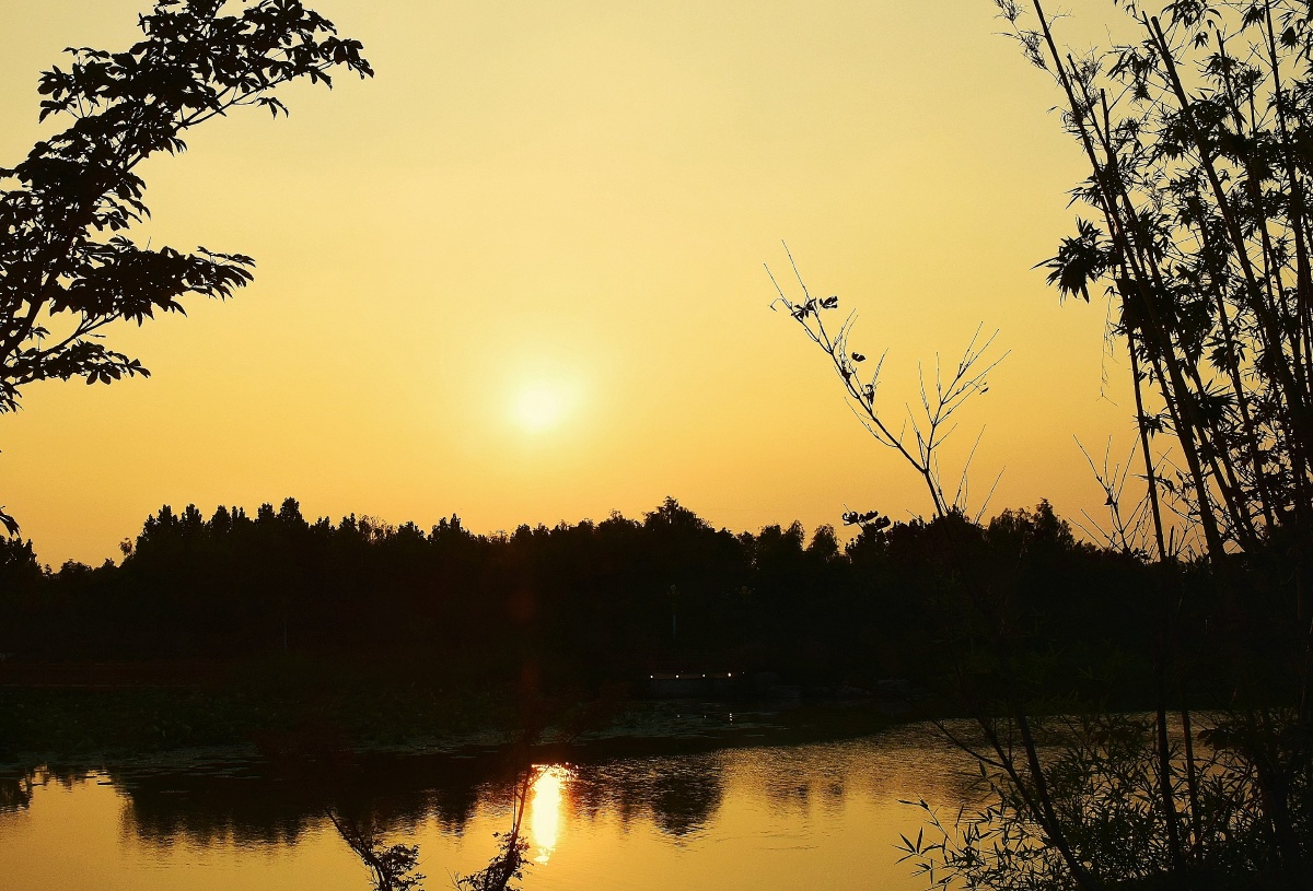 117 打开微信,使用"扫一扫"即可将网页分享之朋友圈 转发到小组