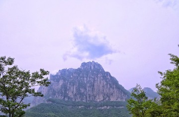 DSC02223-01