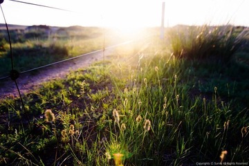 DPP_0005.JPG