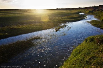 DPP_0006.JPG