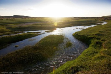DPP_0008.JPG