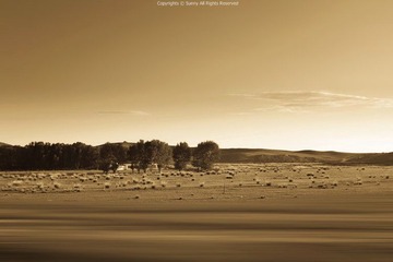 DPP_0009.JPG