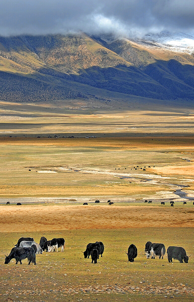 十月内蒙自驾旅游有什么好玩的地方,内蒙古老大草原的神秘