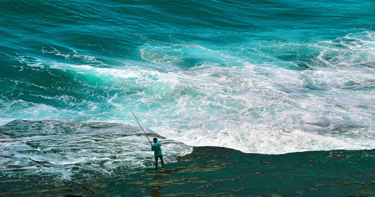 拍摄于一带一路新西兰奥克兰鸟岛wuguohua关注