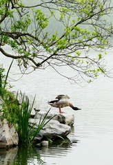 DSC05417-0_看图王