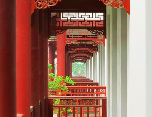 _DSC0068-0_看图王_看图王