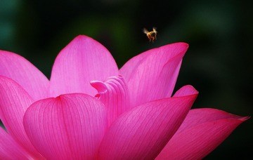 DSC06375-0_看图王