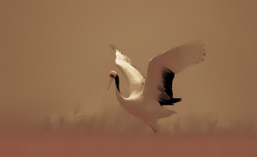 晚归2