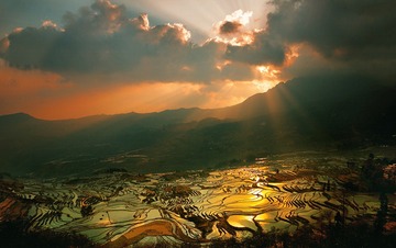 梯田