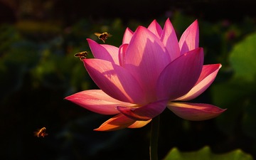 DSC00030-0_看图王