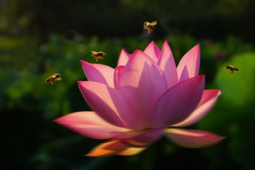 DSC00042-0_看图王