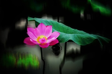 DSC06324-0_看图王