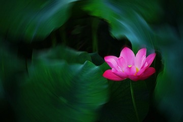 DSC08967-0_看图王