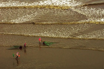 DSC06449-0.jpg