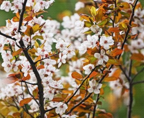 DSC06691-9_看图王_看图王