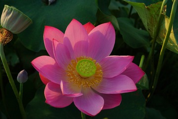 DSC00077_看图王