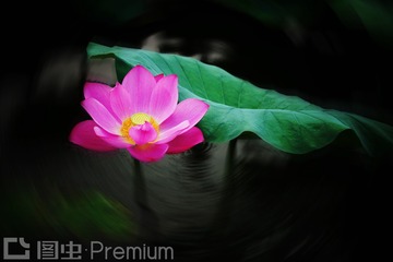 DSC06295-0_看图王