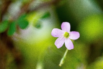 SWZ_7689