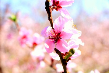 IMG_0061.jpg