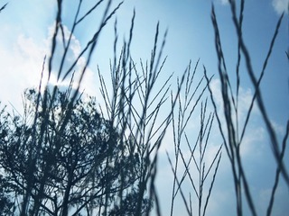 IMG_1500_