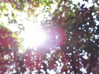 IMG_1678_ - 